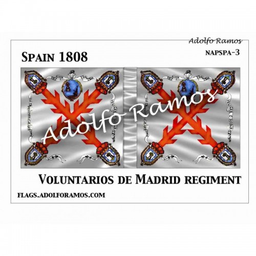 Voluntarios de Madrid