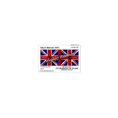 1º Regimiento de Guardias (3rd Battalion) (Regimental Colours)