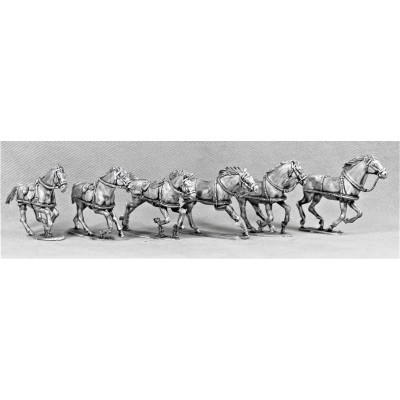 BEF30 RHA Horse Team