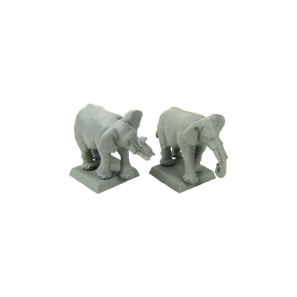 African Elephant (Bare)