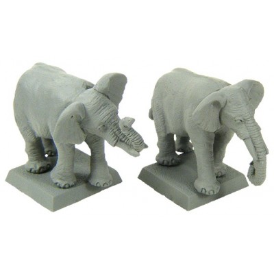 African Elephant (Bare)