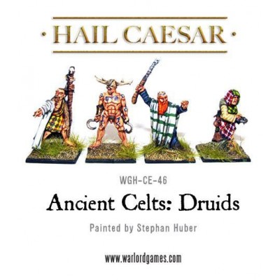 Celt Druids
