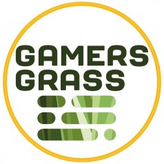 Gamer's Grass