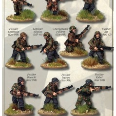 Escuadras, Pelotones y Secciones