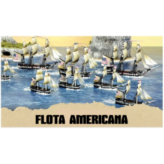 Flota Americana
